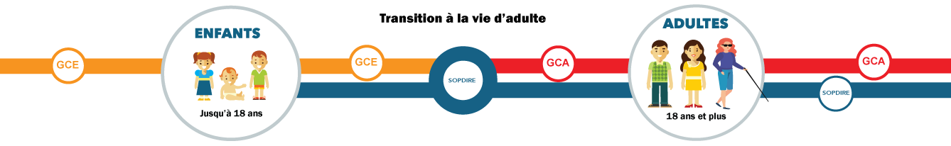 Lire la description et la légende de la carte ci-dessous pour comprendre cette image